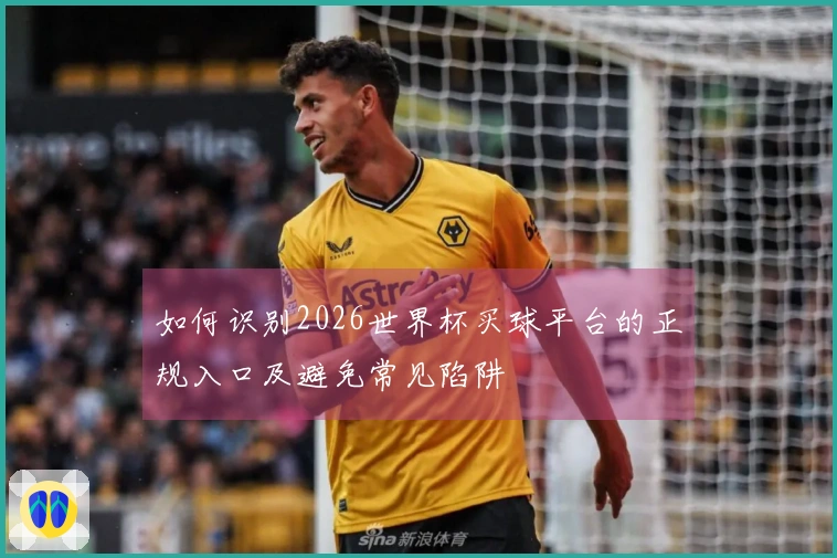 如何识别2026世界杯买球平台的正规入口及避免常见陷阱