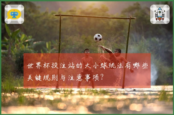 世界杯投注站的大小球玩法有哪些关键规则与注意事项？