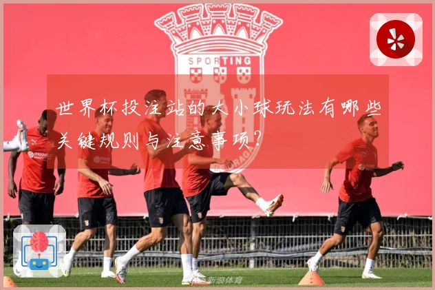 世界杯投注站的大小球玩法有哪些关键规则与注意事项？