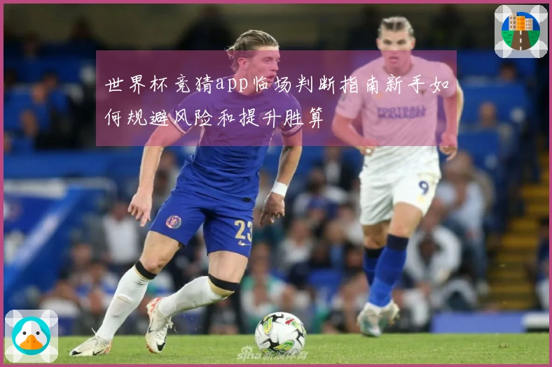 世界杯竞猜app临场判断指南新手如何规避风险和提升胜算